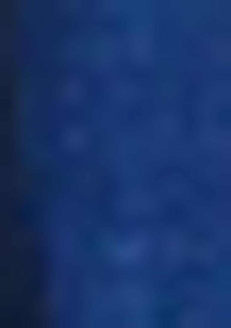 Navy Blue Embroidered Silk Salwar Kameez Set