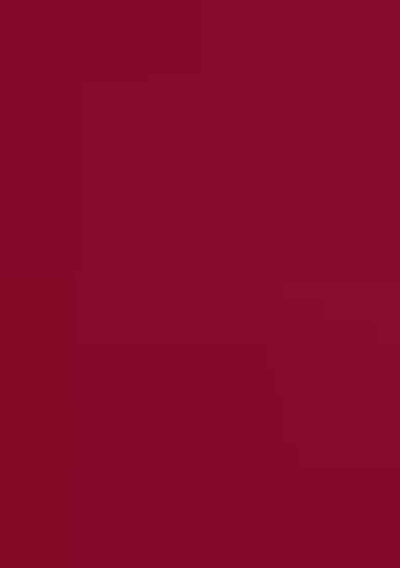 Maroon Embroidered Georgette Salwar Kameez With Dupatta