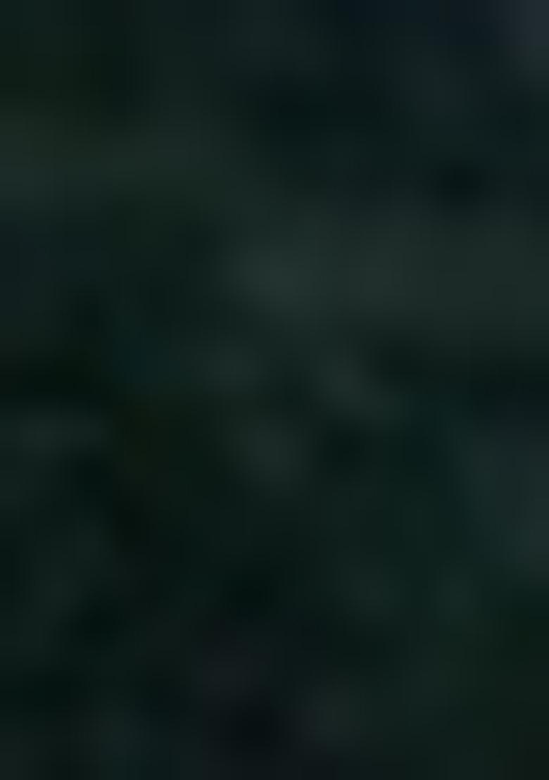 Dark Green Embroidered Georgette Salwar Kameez With Dupatta