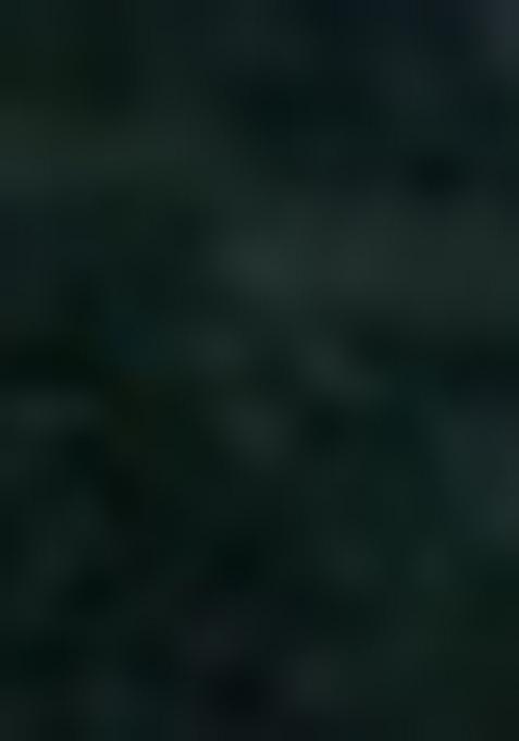 Dark Green Embroidered Georgette Salwar Kameez With Dupatta