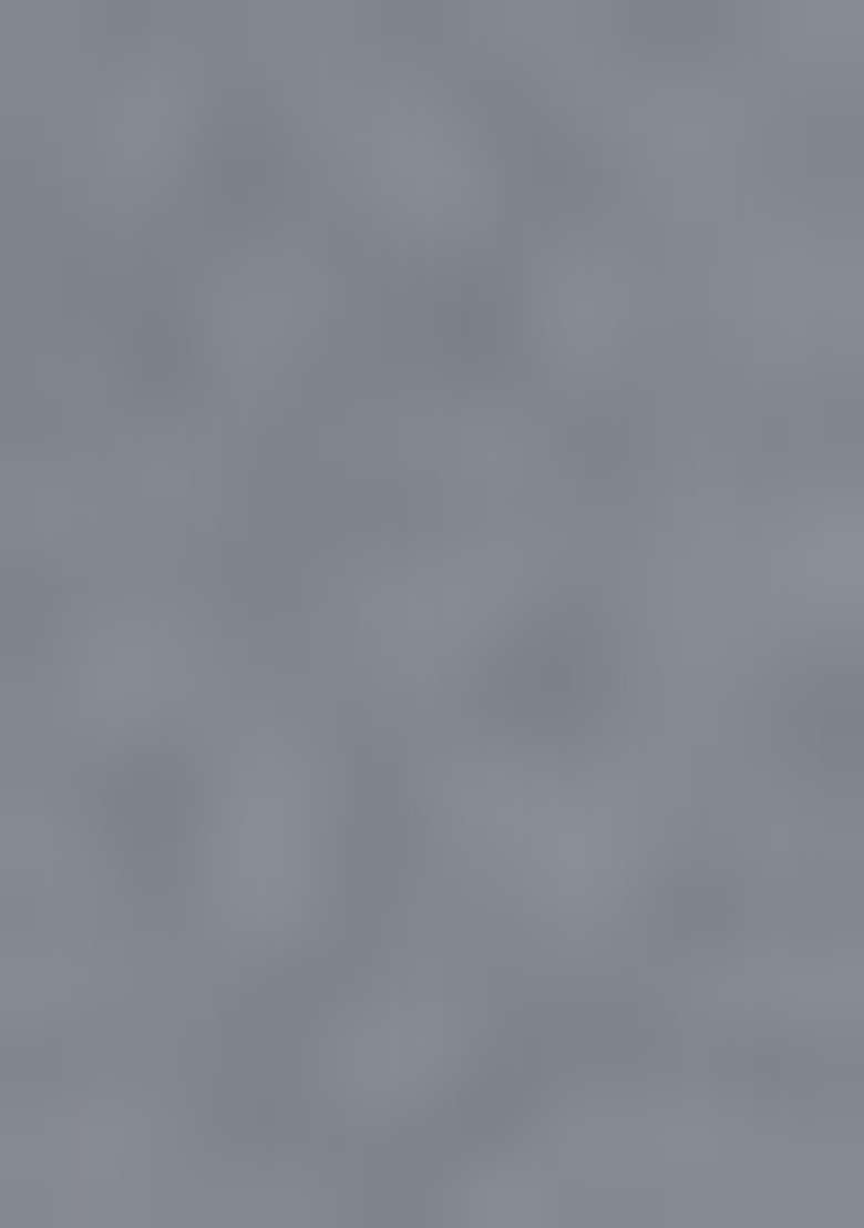 Grey Embroidered Georgette Salwar Kameez With Dupatta - Indya