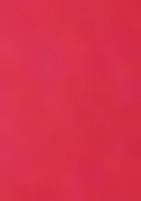 Maroon Printed Georgette Salwar Kameez With Dupatta