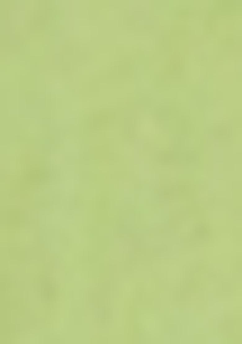 Green Embroidered Cotton Salwar Kameez