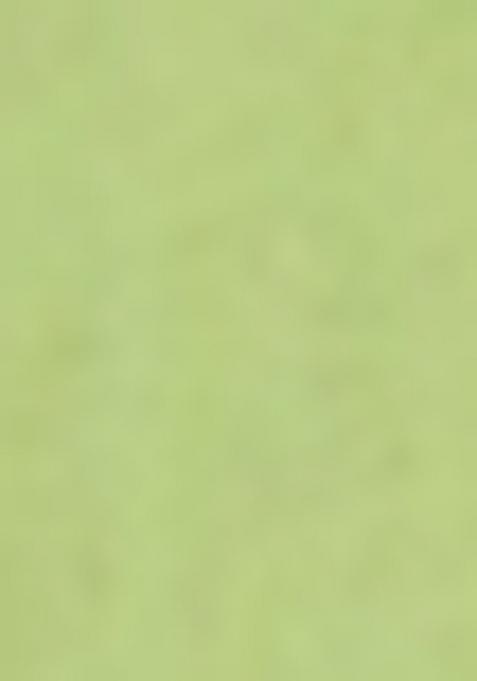 Green Embroidered Cotton Salwar Kameez