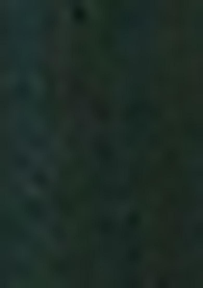 Dark Green Embroidered Linen Salwar Kameez