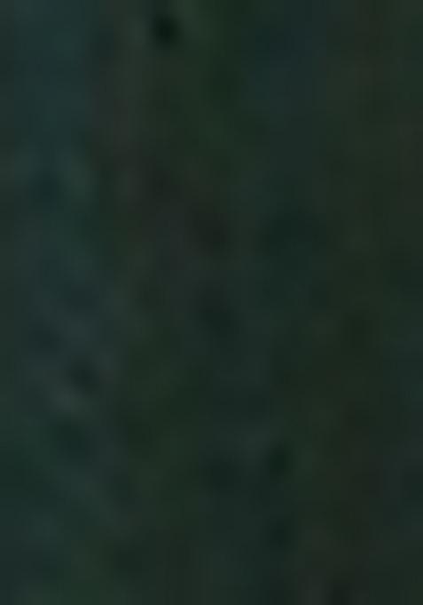 Dark Green Embroidered Linen Salwar Kameez