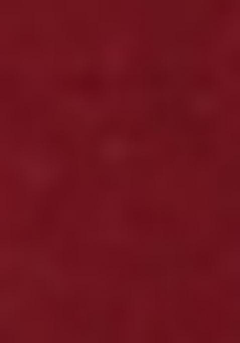 Maroon Embroidered Silk Salwar Kameez