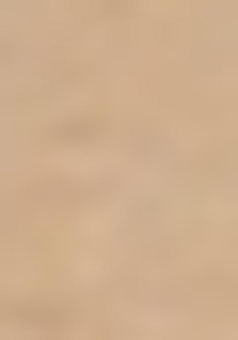 Brown Embroidered Chanderi Salwar Kameez