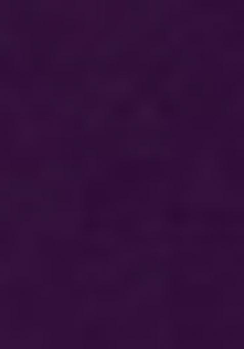 Purple Embroidered Georgette Anarkali Style Salwaar Kameez Set