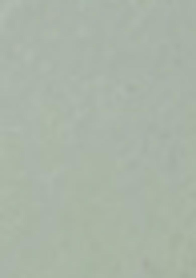 Light Sea Green Embroidered Silk Anarkali Set With Dupatta