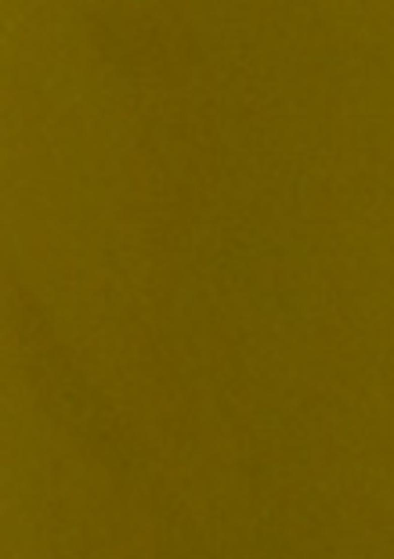 Olive Embroidered Georgette Anarkali Style Salwaar Kameez Set