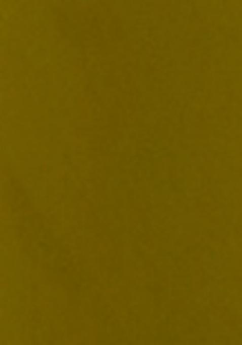 Olive Embroidered Georgette Anarkali Style Salwaar Kameez Set