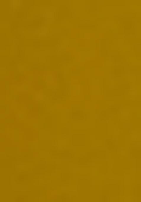 Musturd Embroidered Silk Anarkali Style Salwaar Kameez Set