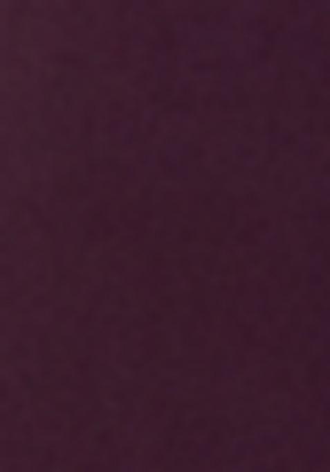 Multi Color Printed Roman Salwar Kameez With Dupatta