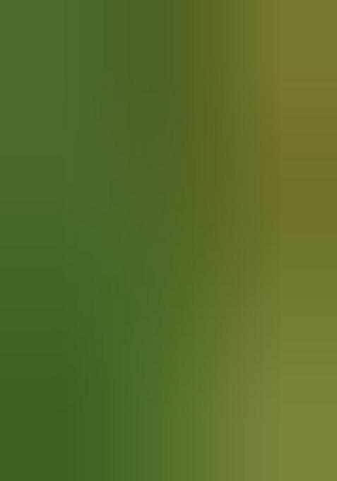 Multicolor Printed Muslin Gown With Dupatta