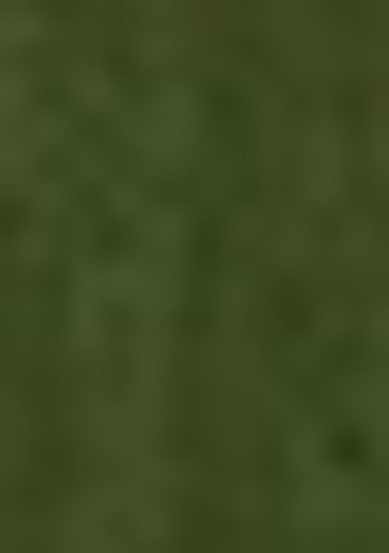 Green Embroidered Georgette Gown With Dupatta - Indya