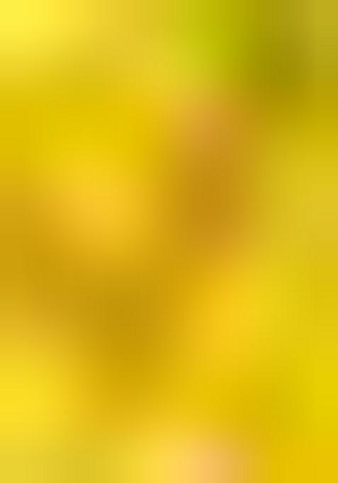 Multicolor Printed Muslin Salwar Kameez