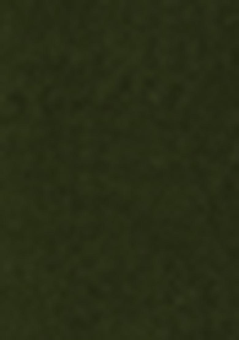 Green Embroidered Georgette Sharara Set With Dupatta