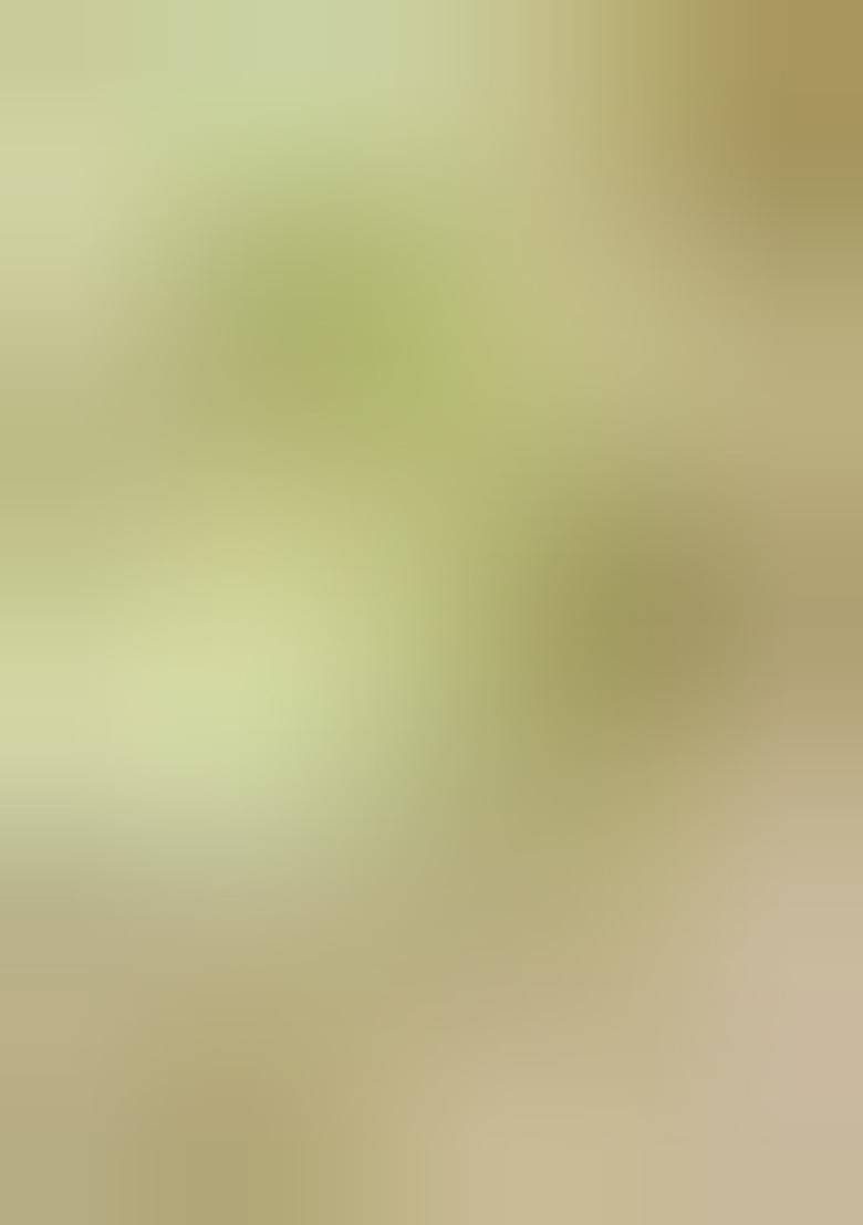 Multicolor Embroidered Silk Gown