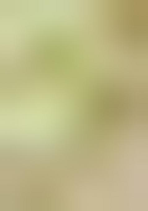 Multicolor Embroidered Silk Gown