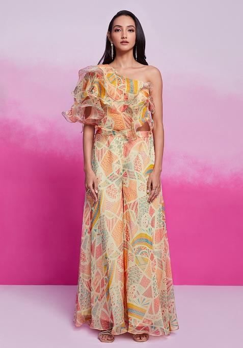 White Embroidered Organza Plazoo Set