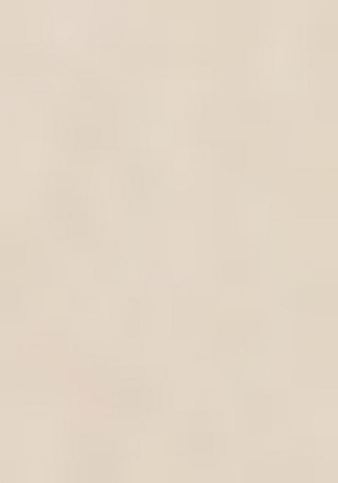 Yellow Embroidered Organza Gown