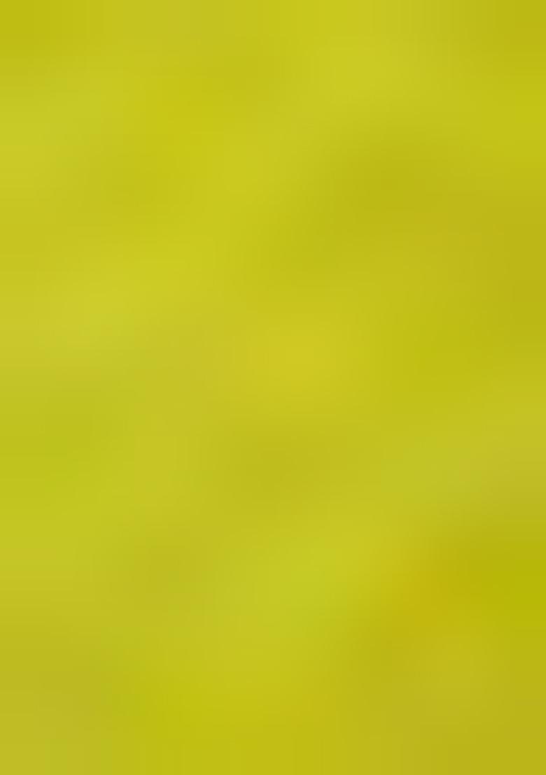 Green Embroidered Chinon Palazzo Set With Dupatta - Indya