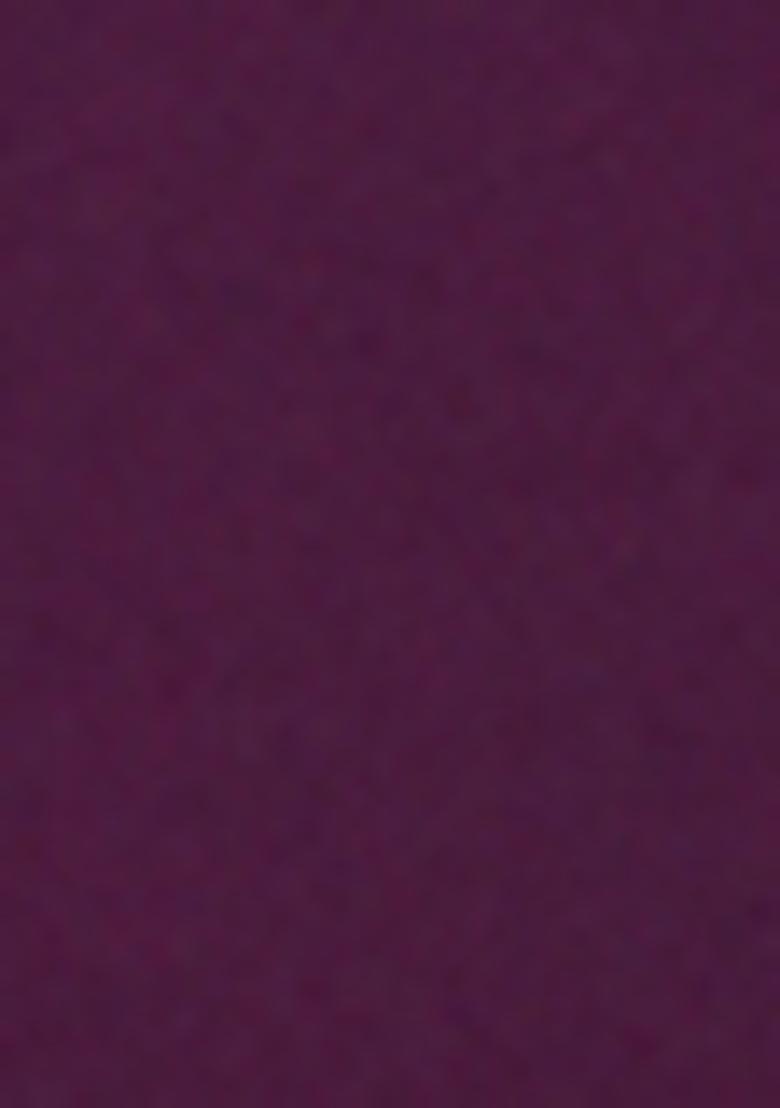 Wine Embroidered Silk / Georgette Gown