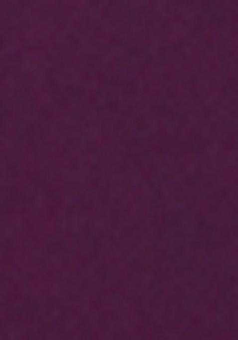 Wine Embroidered Silk / Georgette Gown