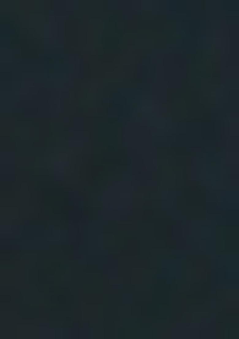 Rama Embroidered Silk / Georgette Gown