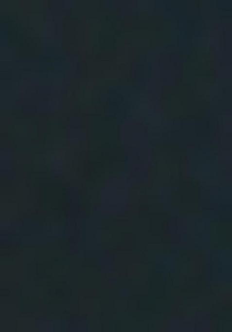 Rama Embroidered Silk / Georgette Gown