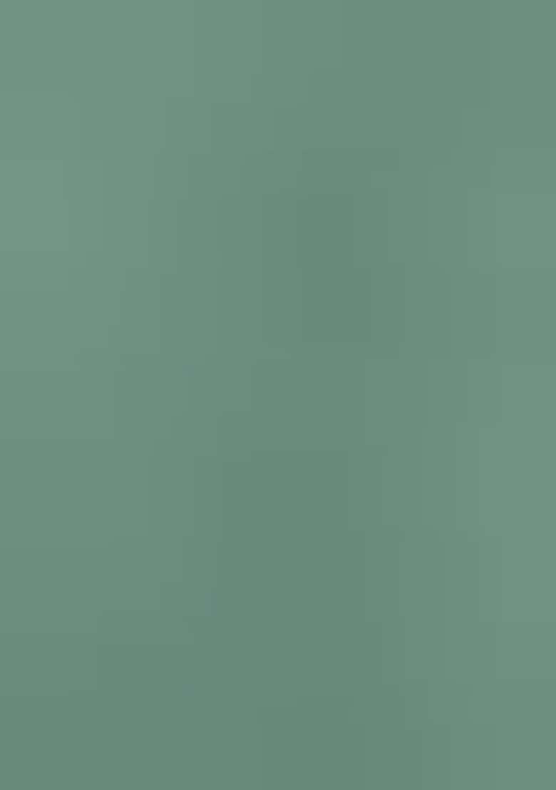 Sea Green Embroidered Silk Salwar Kameez With Dupatta - Indya