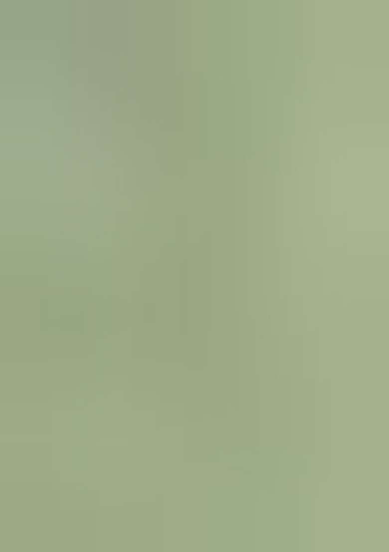 Green Embroidered Silk Salwar Kameez With Dupatta - Indya