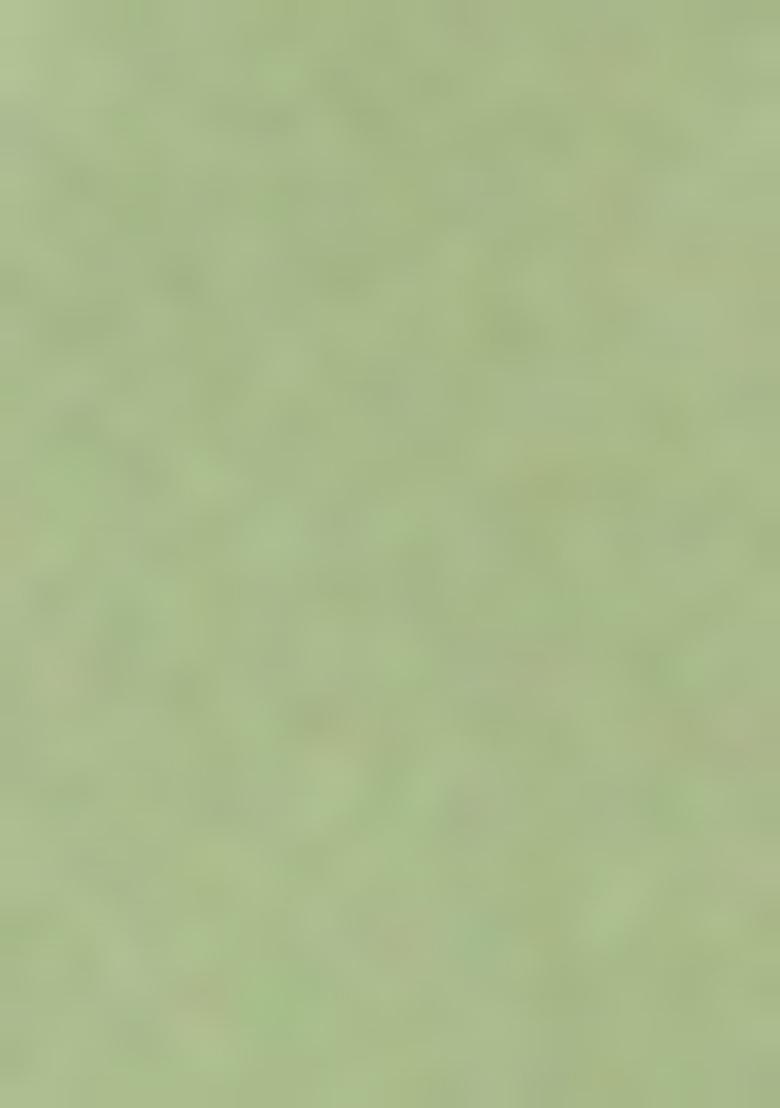 Green Sequins Rayon Kurti Set