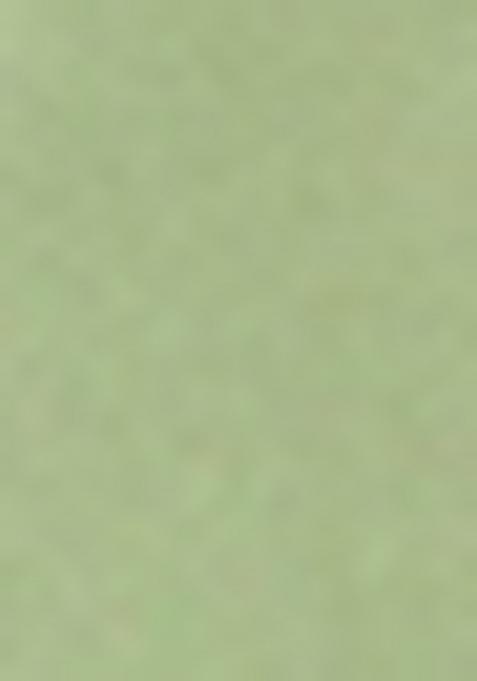 Green Sequins Rayon Kurti Set