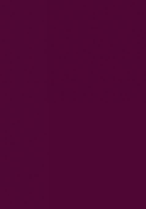 Wine Embellished Georgette Anarkali Set