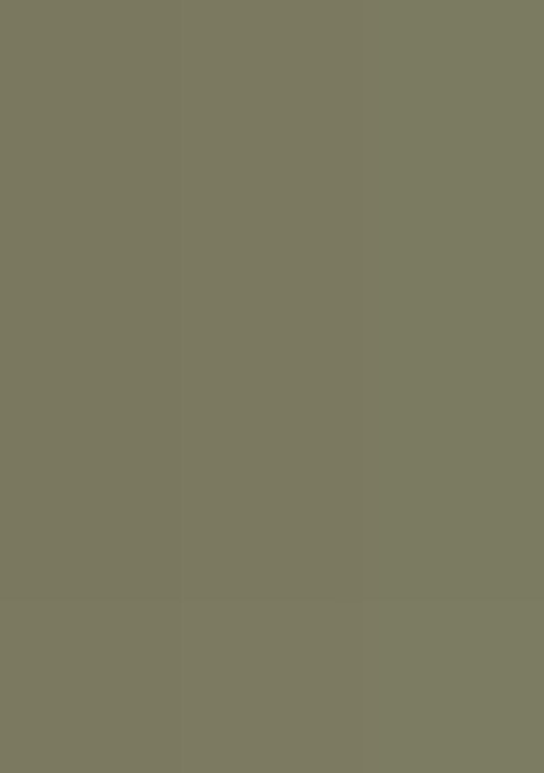 Green Embroidery Blended Kurta Set - Indya