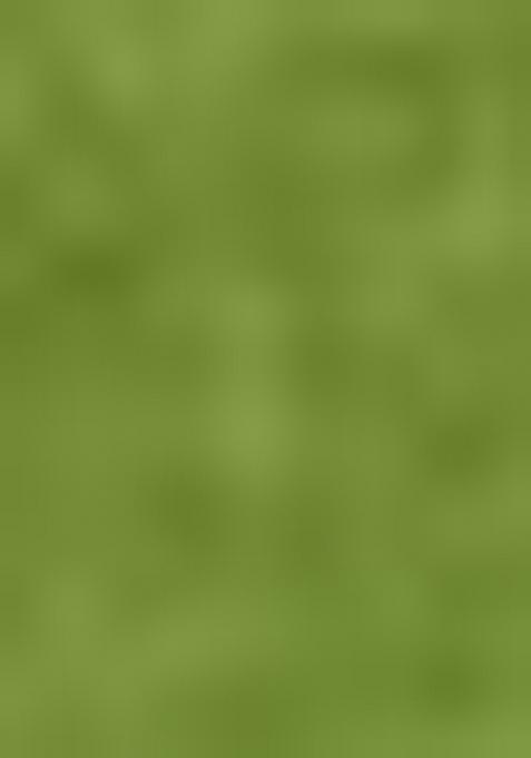 Green Printed Blended Kurti