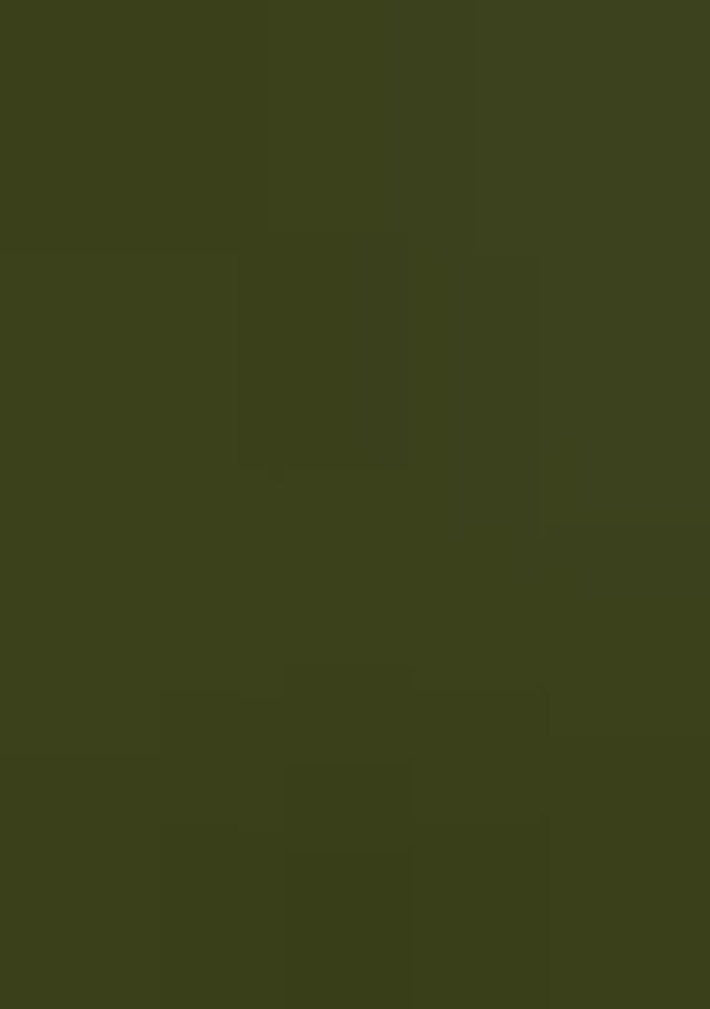 Green Embroidered Blended Salwar Kameez