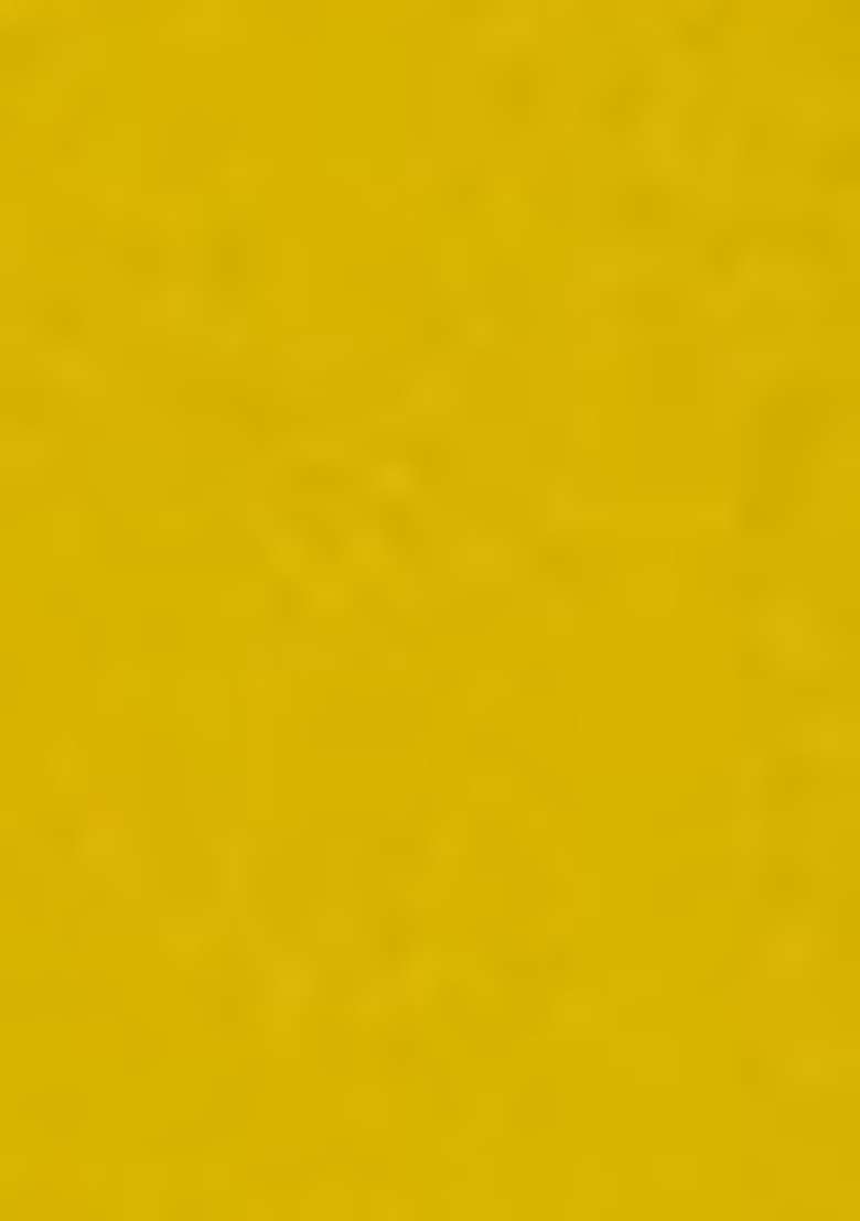 Yellow Embroidered Silk Blend Punjabi Suit - Indya