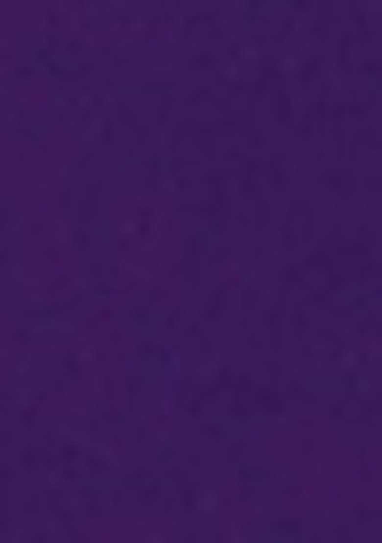 Purple Embroidered Silk Blend Punjabi Suit - Indya