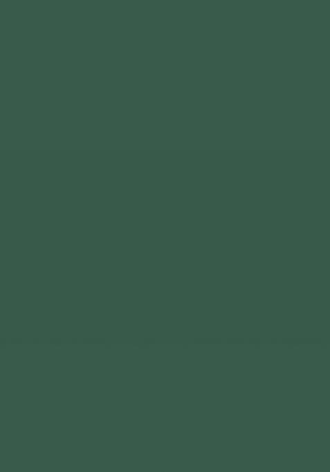 Dark Green Mirror Work Silk Suit Set