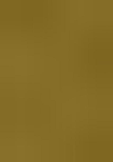 Green Mirror Work Silk Suit Set