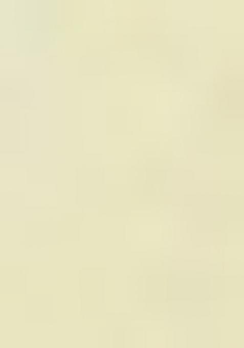 Pista Thread Work Cotton Suit Set