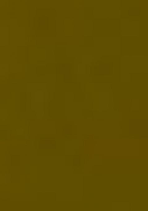 Green Embroidered Georgette Anarkali Set