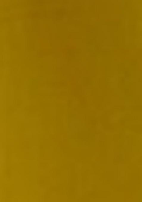 Yellow Beads Viscose Kurta Set With Dupatta