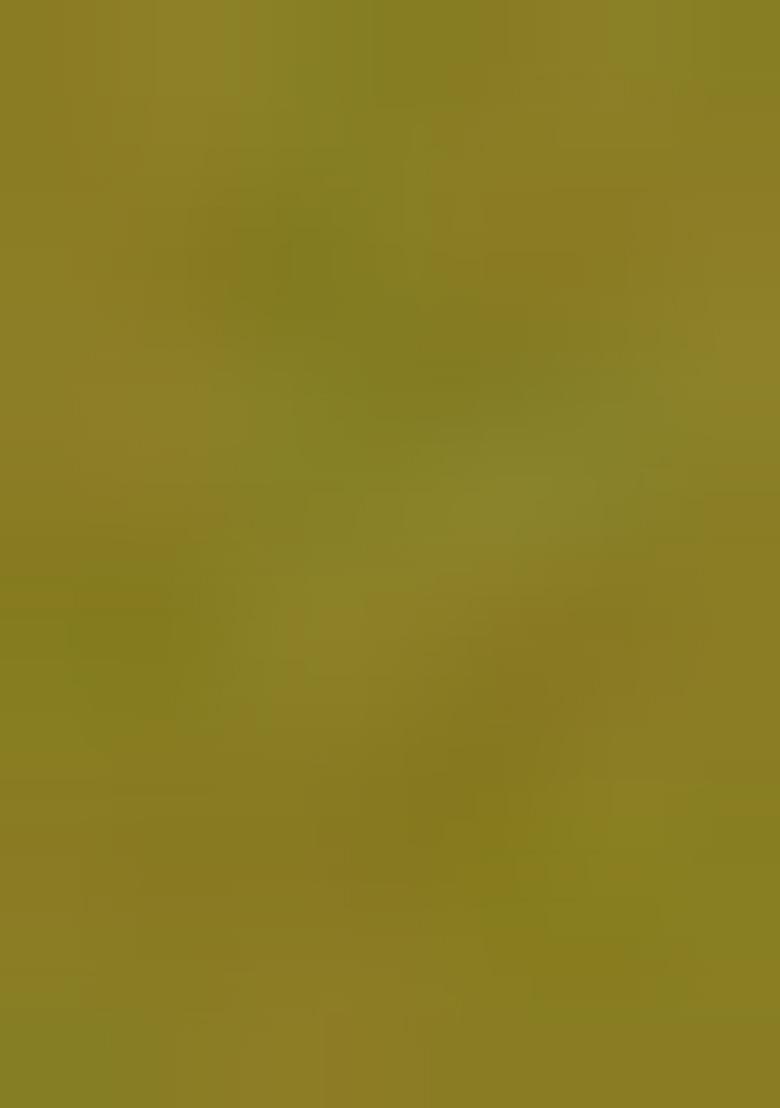 Olive Green Embroidered Silk Blend Kurta Set With Dupatta