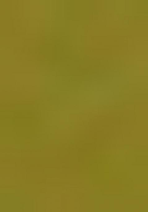 Olive Green Embroidered Silk Blend Kurta Set With Dupatta