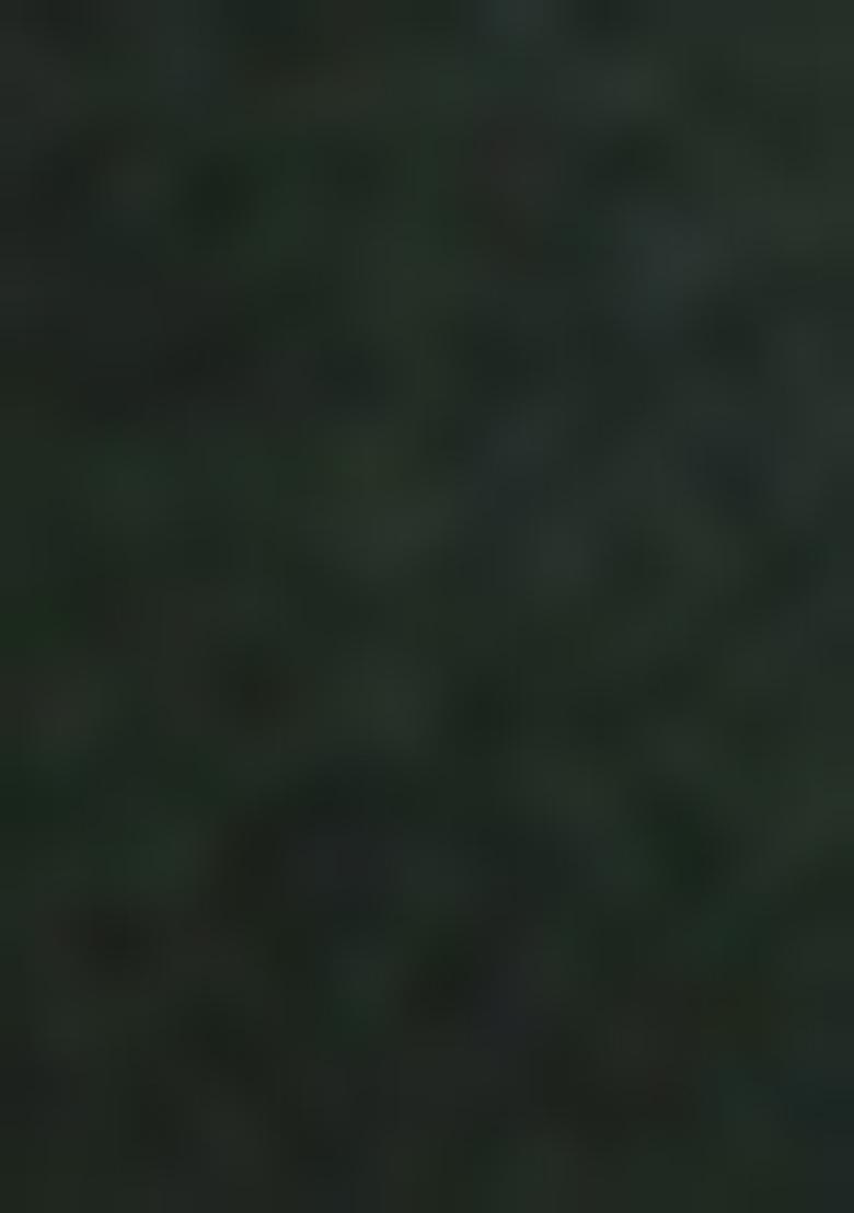 Dark Green Embroidered Cotton Blend Kurta Set With Dupatta