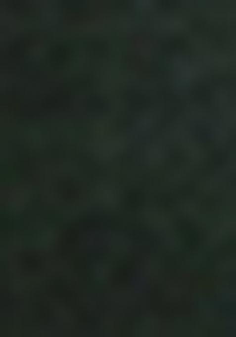 Dark Green Embroidered Cotton Blend Kurta Set With Dupatta